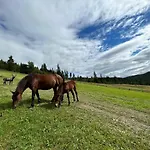 карпати плай Village Bukovel