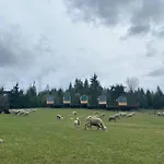 карпати плай Village Alpehytte *