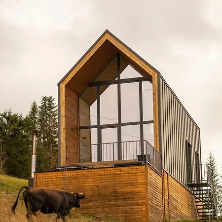 карпати плай Village Chalet *