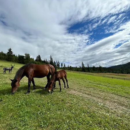 карпати плай Village Bukovel