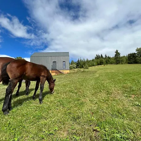 карпати плай Village Chalet