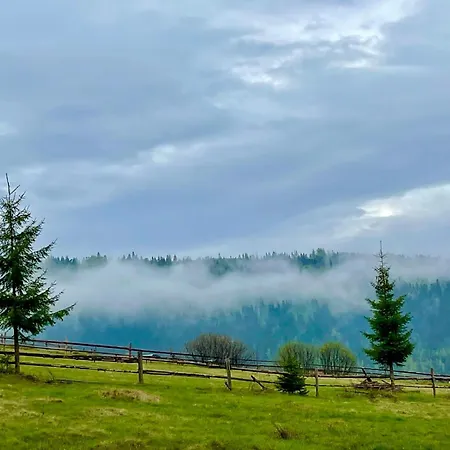 карпати плай Village * Bukovel