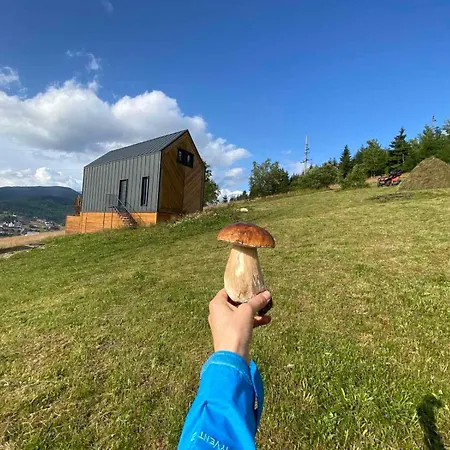 شاليه карпати плай Village *