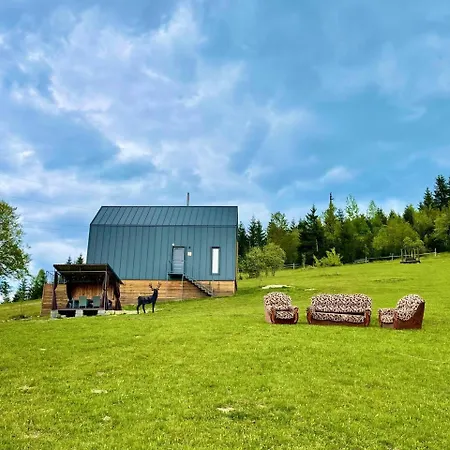 карпати плай Village