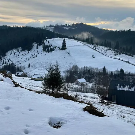Alpesi faház карпати плай Village