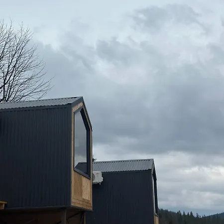 Alpesi faház карпати плай Village *