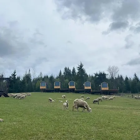 карпати плай Village Alpesi faház *