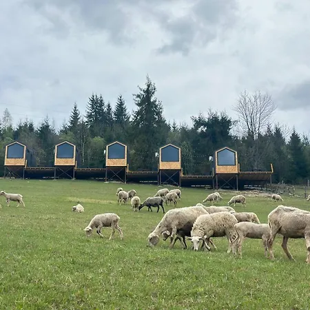 карпати плай Village *