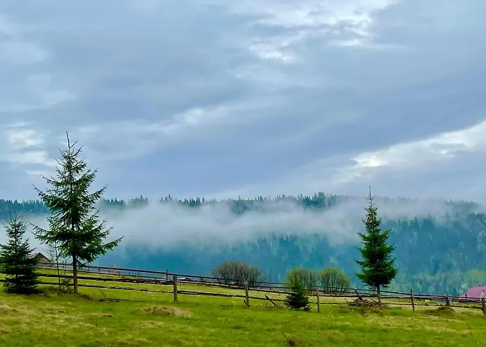 карпати плай Village * Bukovel