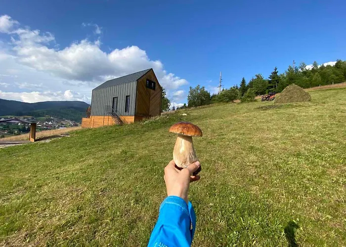 Alpesi faház карпати плай Village *