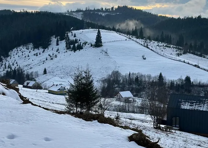 Alpesi faház карпати плай Village