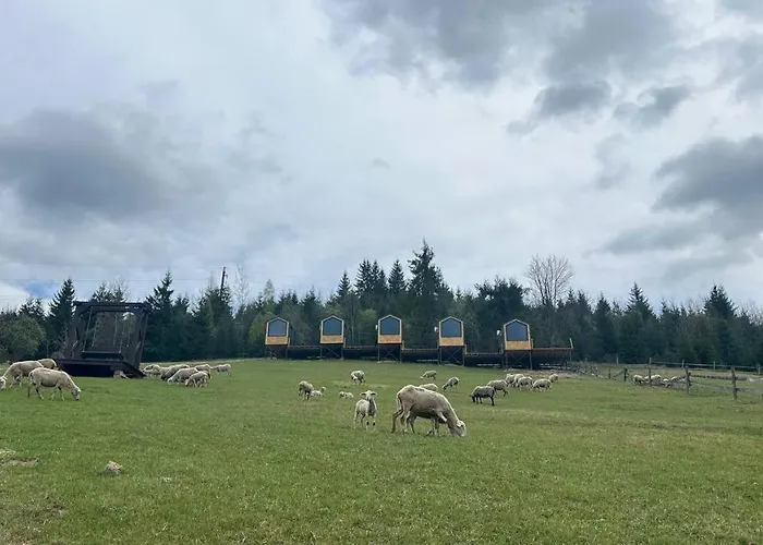 карпати плай Village Σαλέ *