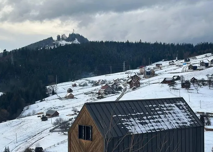 карпати плай Village